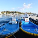 대진항 대게공원 이미지