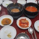 백학정 Daum카페