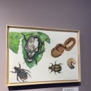 동그리생생 이미지