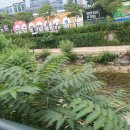 유수정행정사사무소 이미지