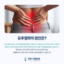 보정탑정형외과의원 이미지