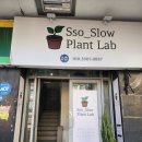 부산가드닝클래스 &lt;쏘슬로우플랜트랩&gt; 테라리움 원데이클래스 후기