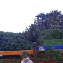 김보성치과의원 이미지