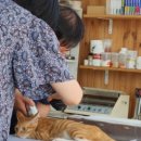 좌천동물병원 이미지