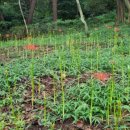 산호동136 이미지