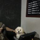 꼴까닭 | 🍗🍺 꼴까닭 복현점: 후라이드 치킨&amp;양념 똥집 &amp; 진한 맥주 맛! (내돈내산 솔직 후기) 대구 북구 맛집