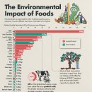 환경에 가장 큰 영향을 미치는 식품 이미지