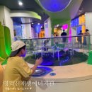 해바라기발전소 | 영덕 아이랑 가볼만한곳 신재생에너지관 :: 풍력발전단지, 영덕정크아트박물관, 창포말등대 코스 추천