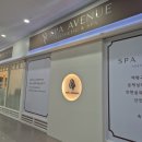 디자인에비뉴 | 일산속눈썹연장 고민중이라면? 스파에비뉴 속눈썹연장후기