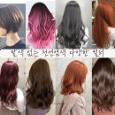 큐사랑&뷰티 이미지