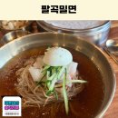 팔곡밀면 - 중구 태화강국가정원길 39-1 | 울산 북구 송정동 맛집 여름에 밀면과 만두는 찰떡 팔곡밀면 친정엄마와 데이트 후기
