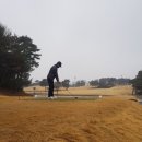 원주센추리스크린골프 이미지