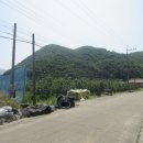 더과수원 이미지