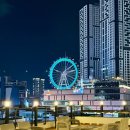 대구통닭 | 대구 맛집 | 대구 먹방 기록 막창, 뭉티기 그리고 허대구 통닭과 유창 반점 배달 후기