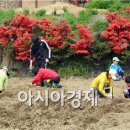 김재철농장 이미지