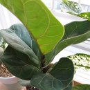 정다운외과의원 이미지