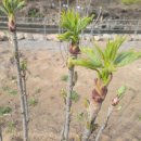 강준혁농장 이미지