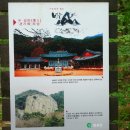 유가사등산로 이미지