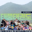 용인대 태풍 태권도장 이미지
