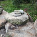 일재농장 이미지