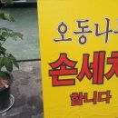 오동나무손세차장 네이버블로그