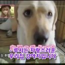 하이디