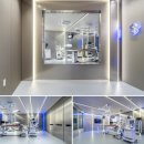 더오래 동물병원 | 양산동물병원 에스동물메디컬센터 노묘 고양이구토 진료 후기