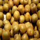 사포희망마을 이미지