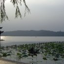 서호달빛 이미지