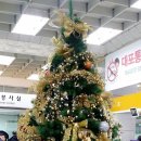 광화문 행정사 사무소 이미지