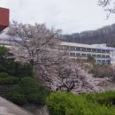 인천보건고등학교 이미지