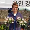 다솜농장 이미지