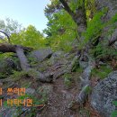 관터 이미지