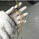 대건메디칼 이미지