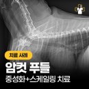 파발로151번길 이미지