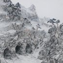 주왕산 유람 특별전 이미지