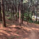 작동 동도센트리움 네이버블로그
