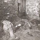 영구농장 이미지