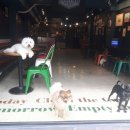 까네지노 이미지