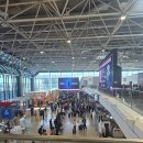 406 | 로마-인천 티웨이 항공 TW406 직항 후기｜A330-200 좌석·기내식·콘센트·눕코노미