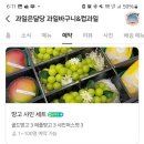 과일은;달당 이미지