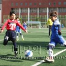 대중초등학교 이미지