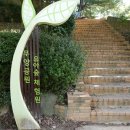 사직공원 유아숲체험원 이미지
