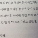 짝이되는동무 이미지