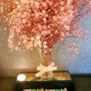 휴 아로마 테라피 이미지