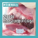 어울림동물메디컬센터 이미지