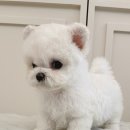 멈미스 이미지