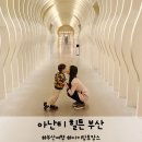 리쁨 | 부산 아난티 힐튼 호텔 아이와 부산 호캉스 추천