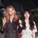 수아뮤직
