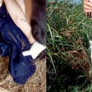 화성5리 이미지